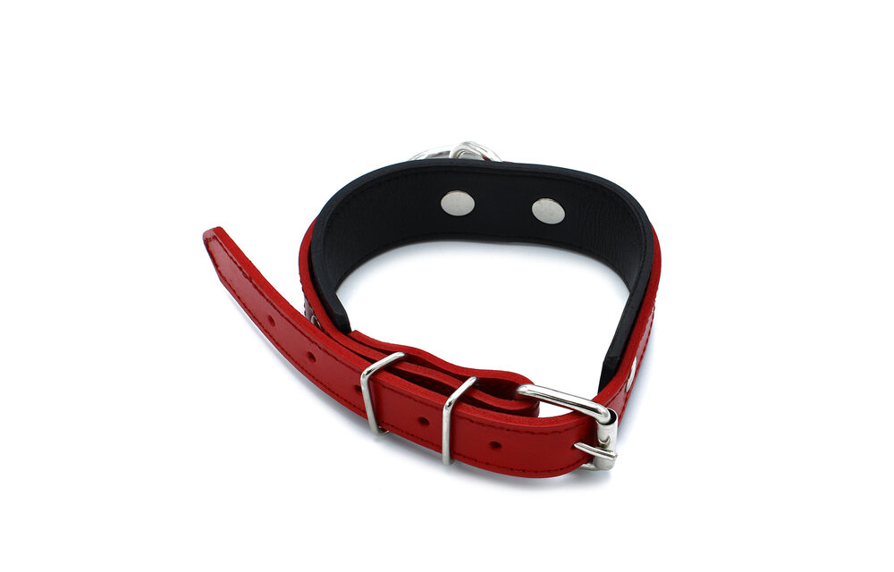Schwarz-rotes Lederhalsband mit O-Ring | Verstellbar & stilvoll