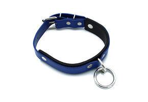 Black and Blue Leather Collar with O-Ring | Adjustable and Tough