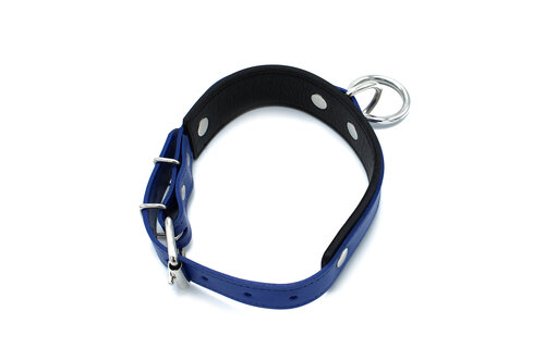 Schwarz-blaues Lederhalsband mit O-Ring | Verstellbar & robust