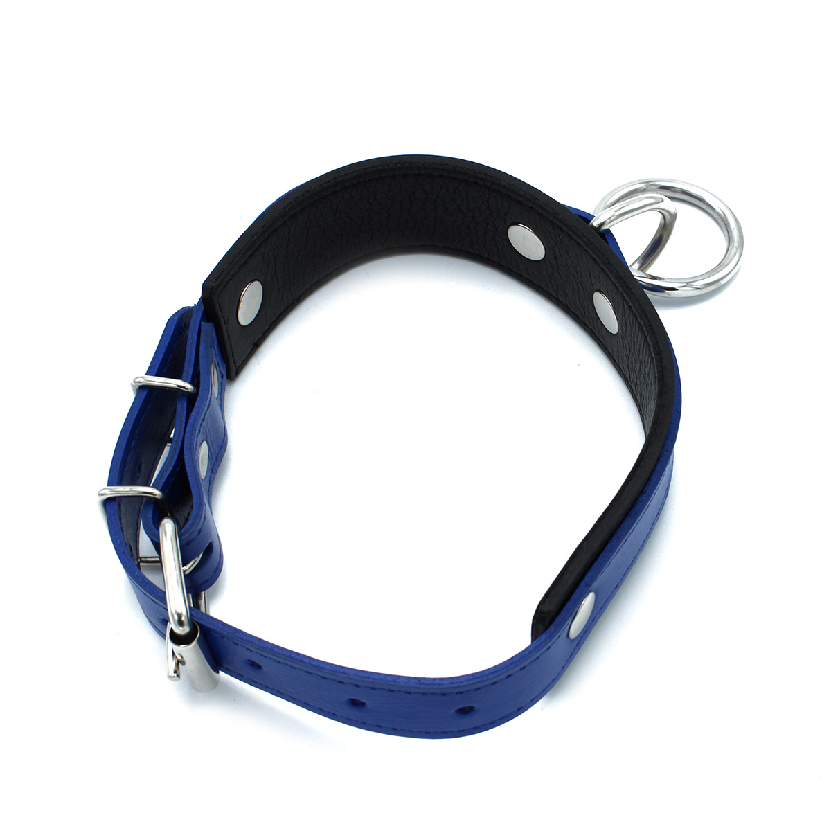 Black and Blue Leather Collar with O-Ring | Adjustable and Tough