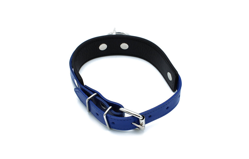 Zwart-Blauwe Leren Halsband Met O-Ring | Verstelbaar & Stoer