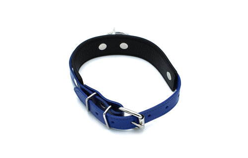 Black and Blue Leather Collar with O-Ring | Adjustable and Tough