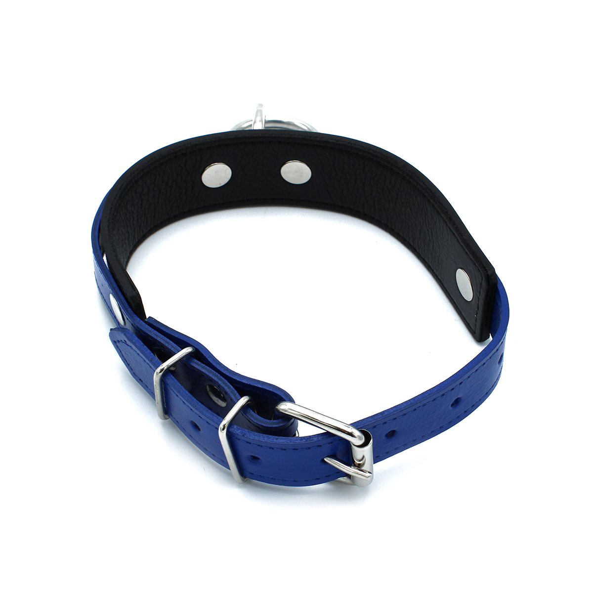 Black and Blue Leather Collar with O-Ring | Adjustable and Tough