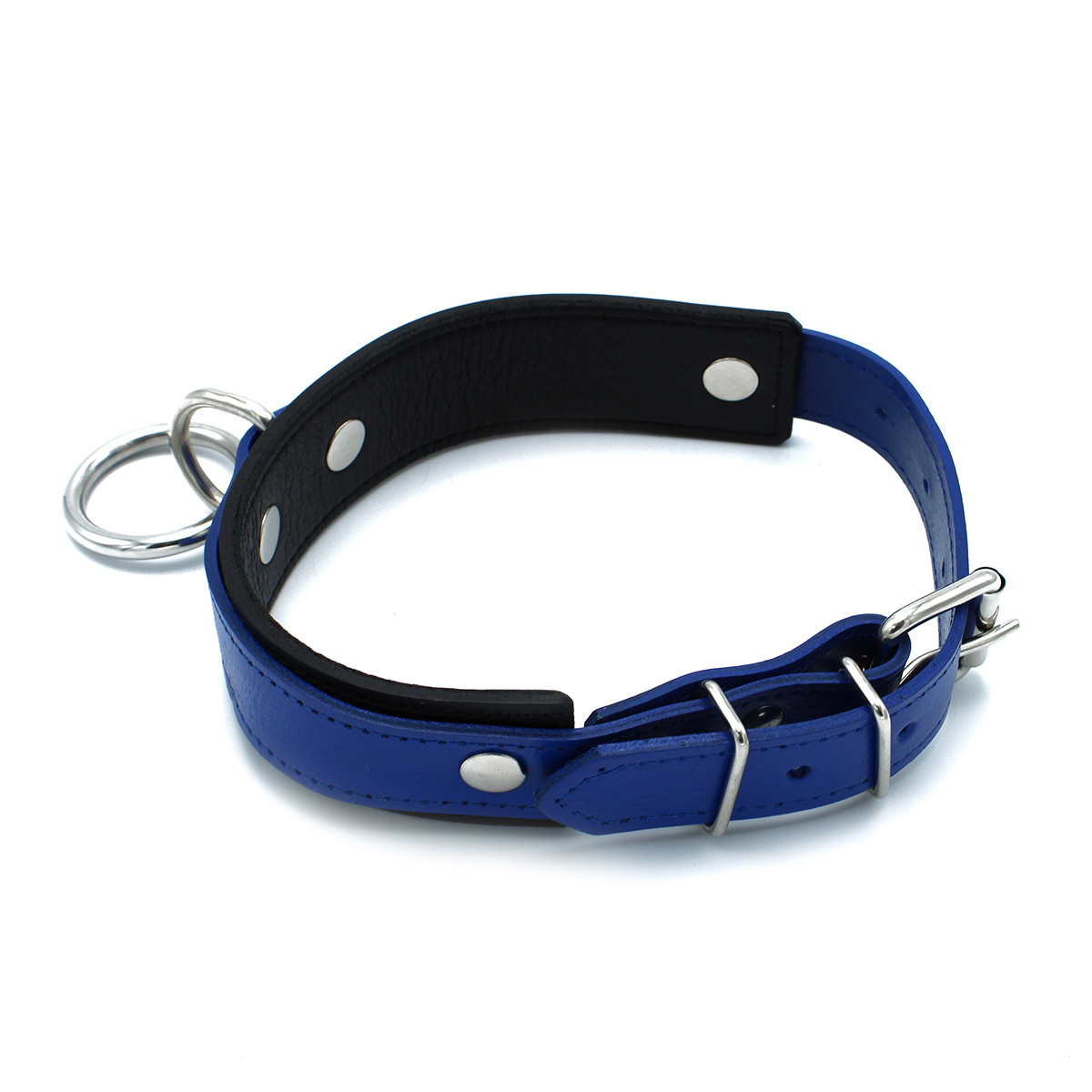 Black and Blue Leather Collar with O-Ring | Adjustable and Tough