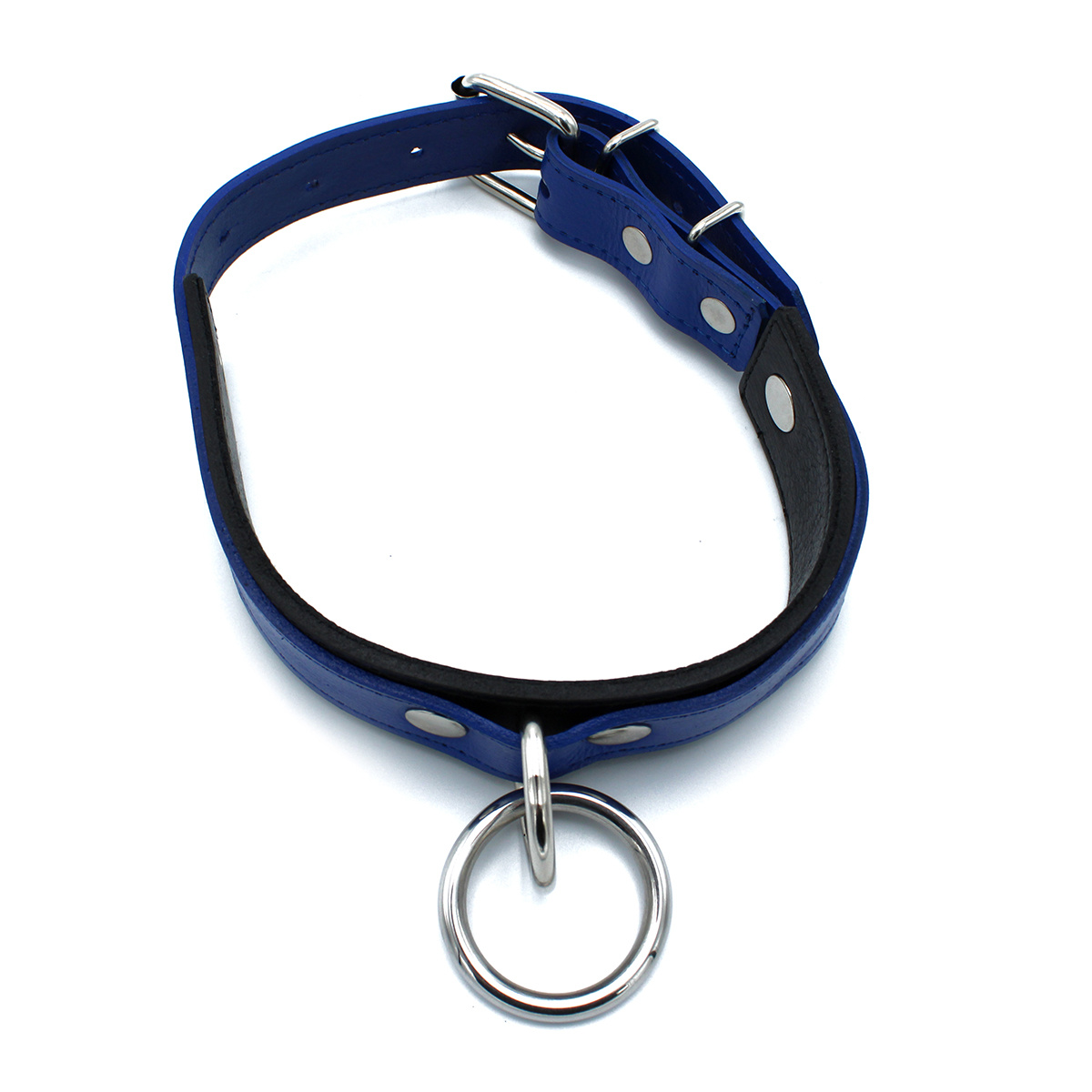 Black and Blue Leather Collar with O-Ring | Adjustable and Tough
