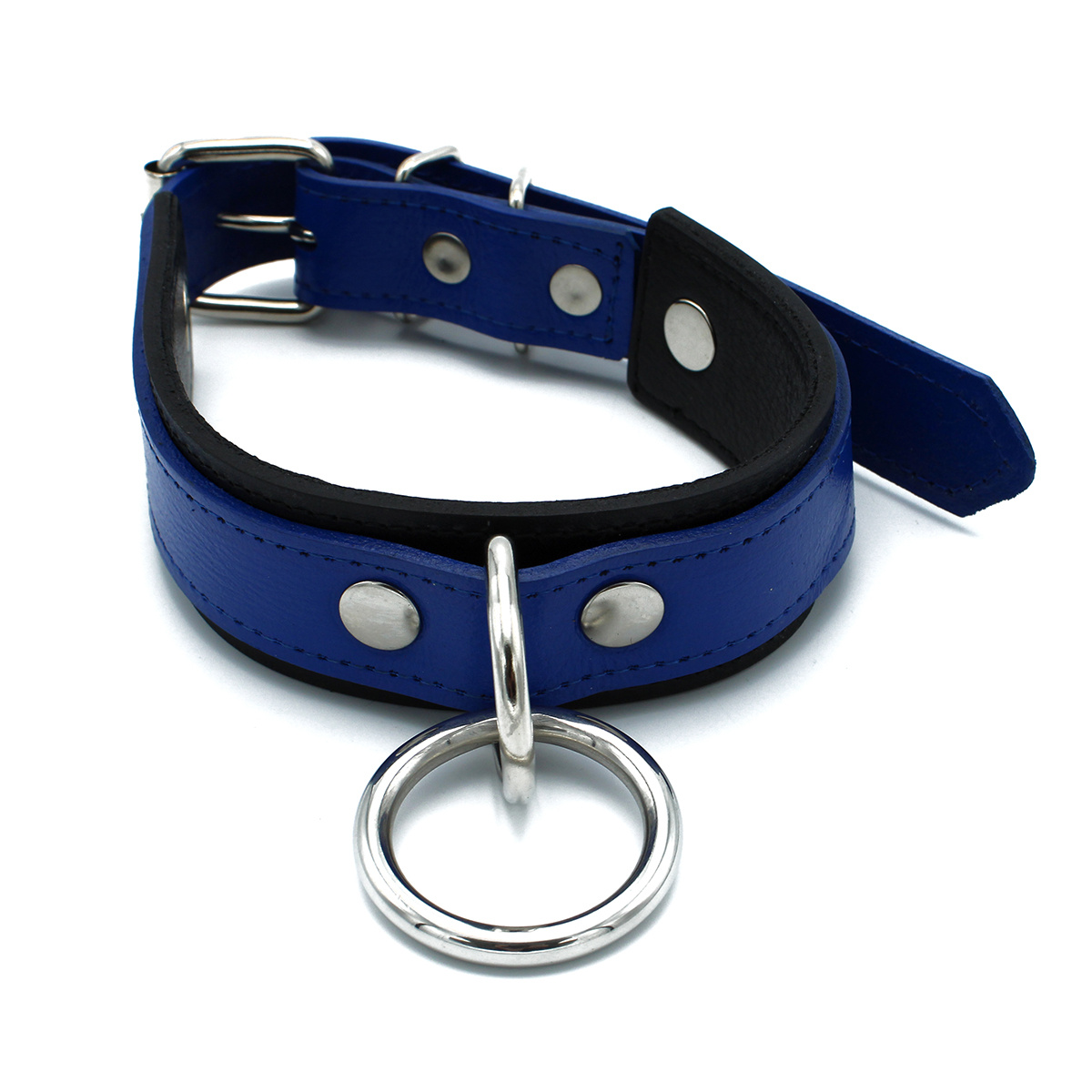 Black and Blue Leather Collar with O-Ring | Adjustable and Tough