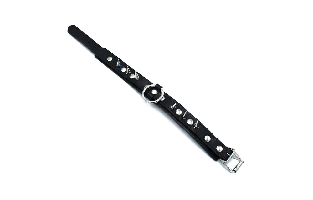 Schwarzes Lederhalsband mit Spikes & O-Ring | Cool & verstellbar