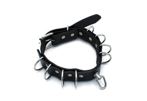 Black Leather Collar with D-Rings – Stylish & Durable