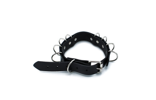 Schwarzes Lederhalsband mit D-Ringen – Stilvoll & Langlebig