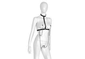 Leather Collar Box with 4 Clamps | BDSM Accessory Black