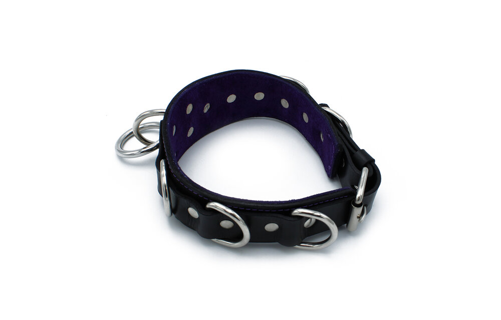 Schwarzes Leder-Deluxe-Halsband 56 cm mit O- und D-Ringen