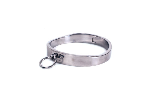 Oval Stainless Steel Collar | Unique & Comfortable Design