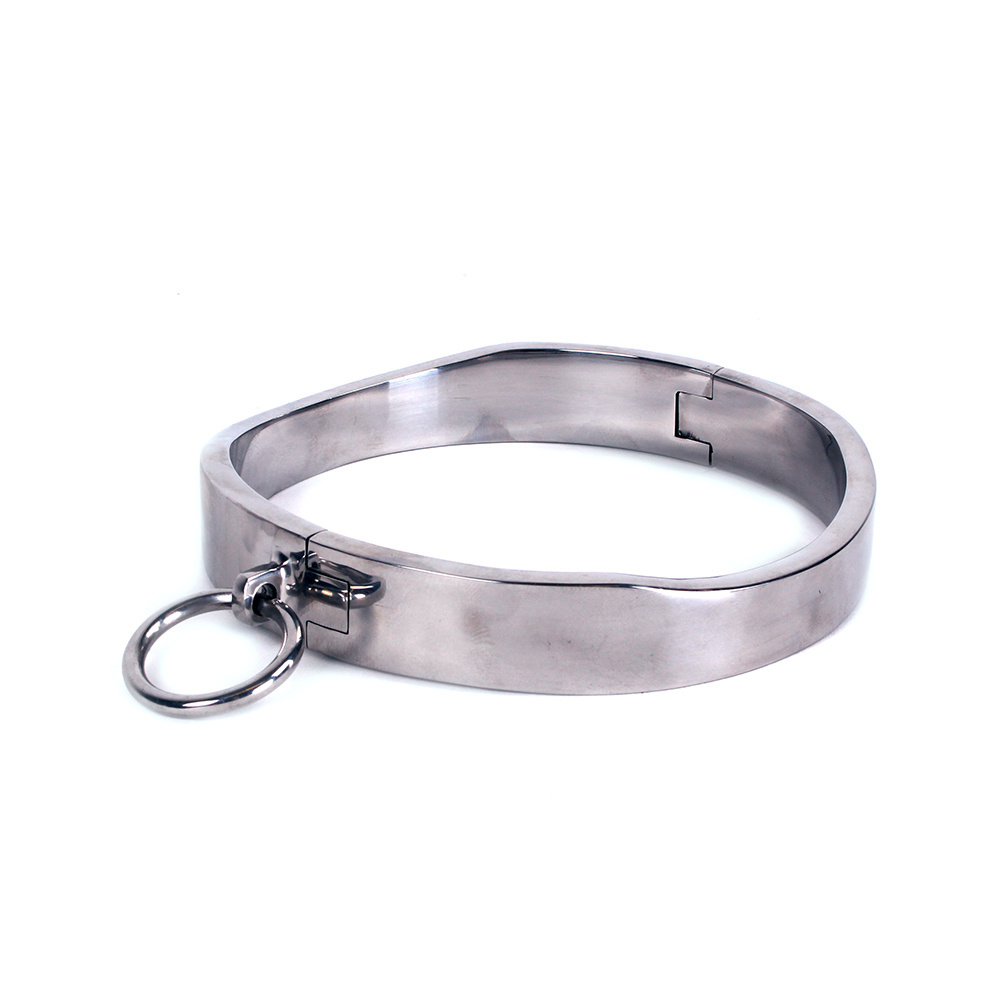Oval Stainless Steel Collar | Unique & Comfortable Design