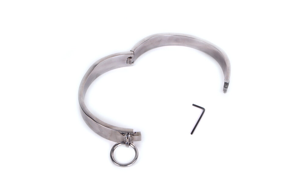 Ovales Edelstahlhalsband | Einzigartiges & komfortables Design