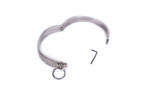 Ovale Roestvrijstalen Halsband | Uniek & Comfortabel Design