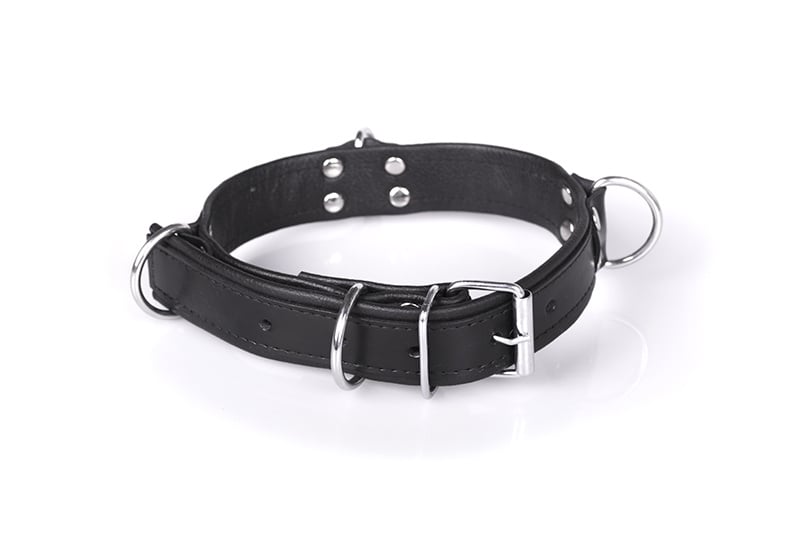 Deluxe Zwarte Bondage Halsband Met 4 D-Ringen – Comfortabel