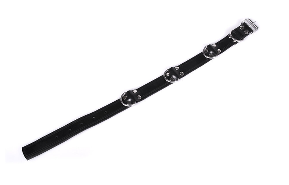 Deluxe Zwarte Bondage Halsband Met 4 D-Ringen – Comfortabel