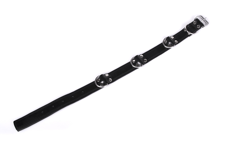 Deluxe schwarzes Bondage-Halsband mit 4 D-Ringen – bequem