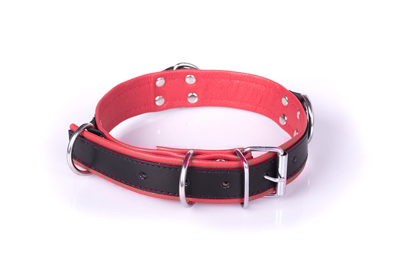 Deluxe Bondage Collar Black/Red | PU Leather & 4 D-Rings