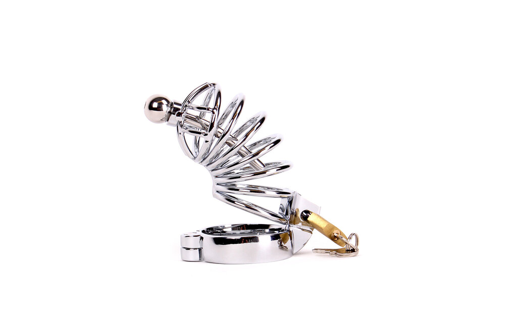 Stainless Steel Chastity Cage With Penis Stick - Safe & Comfortable