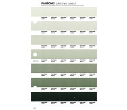 Pantone PMS Solid Chips 
