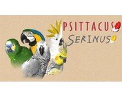 Psittacus