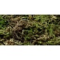 Moss +/- 500gram