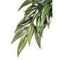 Kunstplant ruscus L