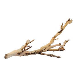 forest branch S/30CM