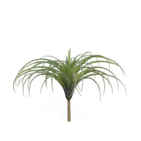 Stijl28 | Tillandsia Groen 36 cm