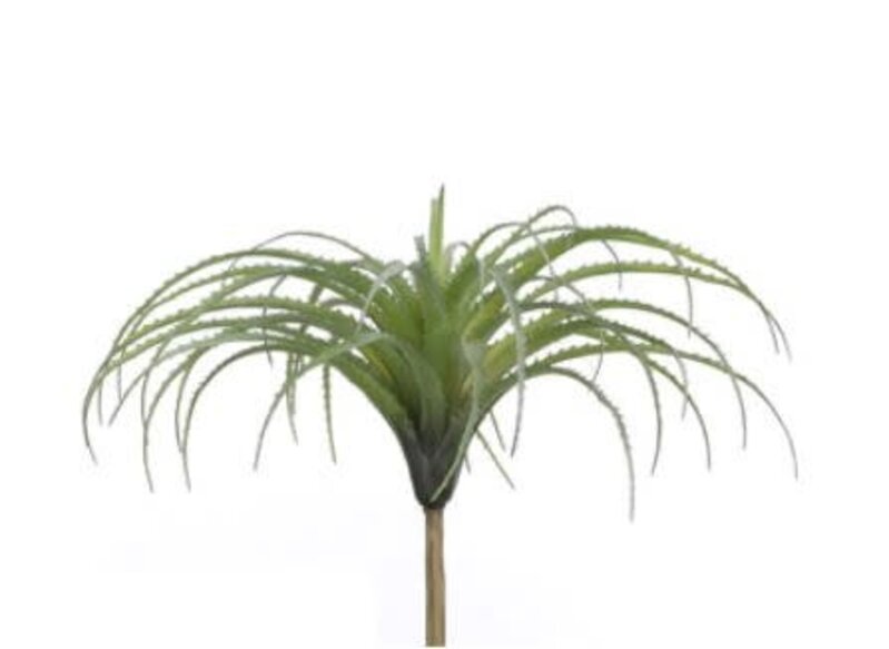 Stijl28 | Tillandsia Groen 36 cm