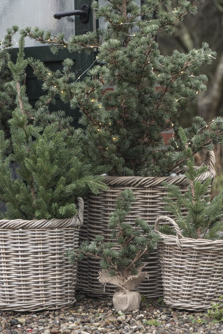 IB Laursen IB Laursen | Kerstboompje cedar 34cm