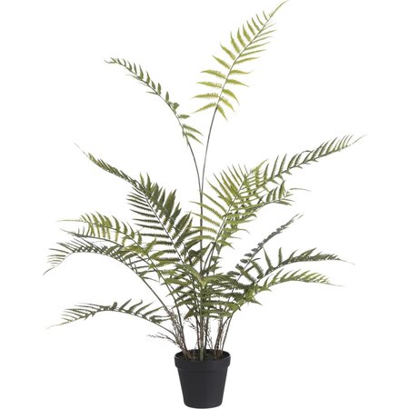 Mica | Varen in pot 90cm