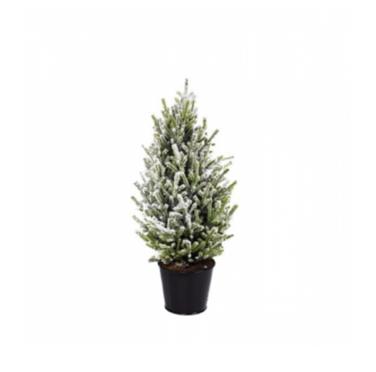 Home society Home Society | Kerstboom aure 50cm