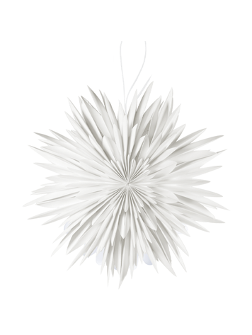 Delight Department DD | Sneeuwvlok ster 30cm