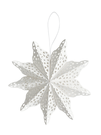 Delight Department DD | Sneeuwvlok ster 22cm