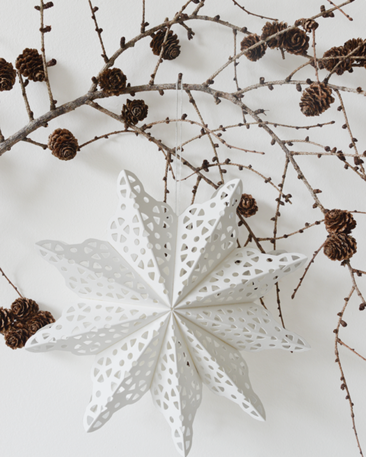 Delight Department DD | Sneeuwvlok ster 22cm