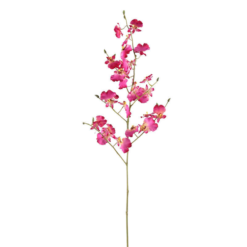 PTMD PTMD | Tijgerorchidee roze