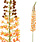 PTMD PTMD | Kunstbloem eremurus oranje