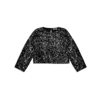 Ammehoela Ammehoela | Top may silver sequin