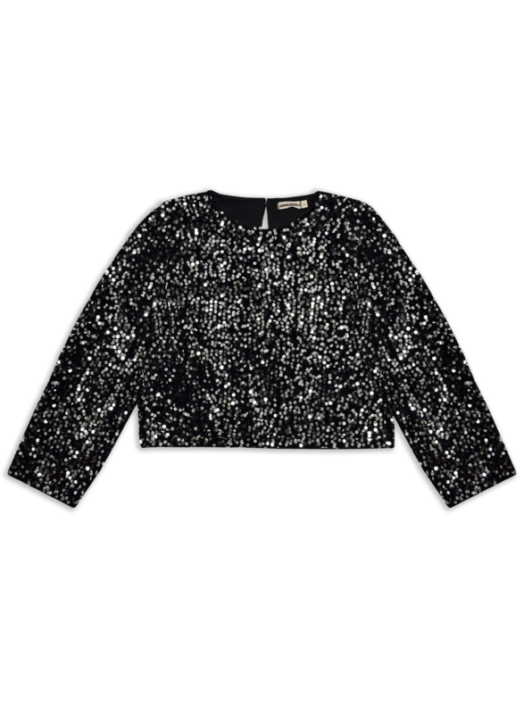 Ammehoela Ammehoela | Top may silver sequin