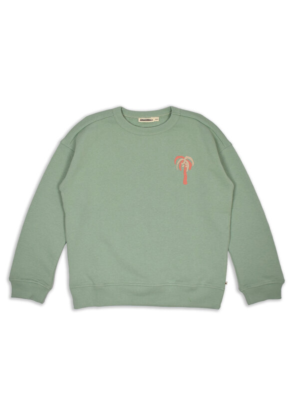 Ammehoela Ammehoela | Sweater Rocky mint groen