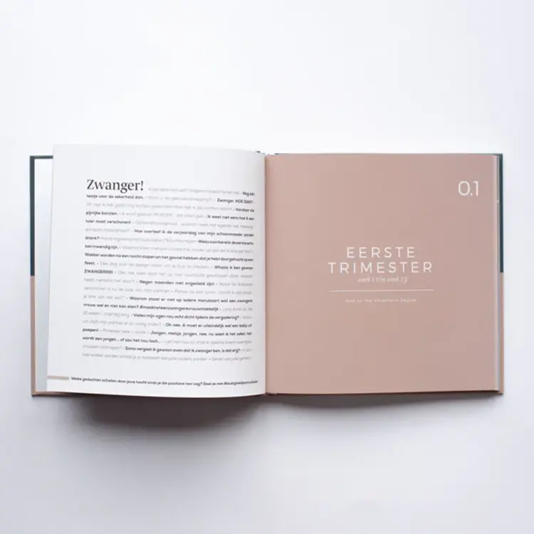 Leukigheidjes Leukigheidjes | Zwanger 9 maanden invulboek