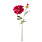 PTMD PTMD | Dahlia roze