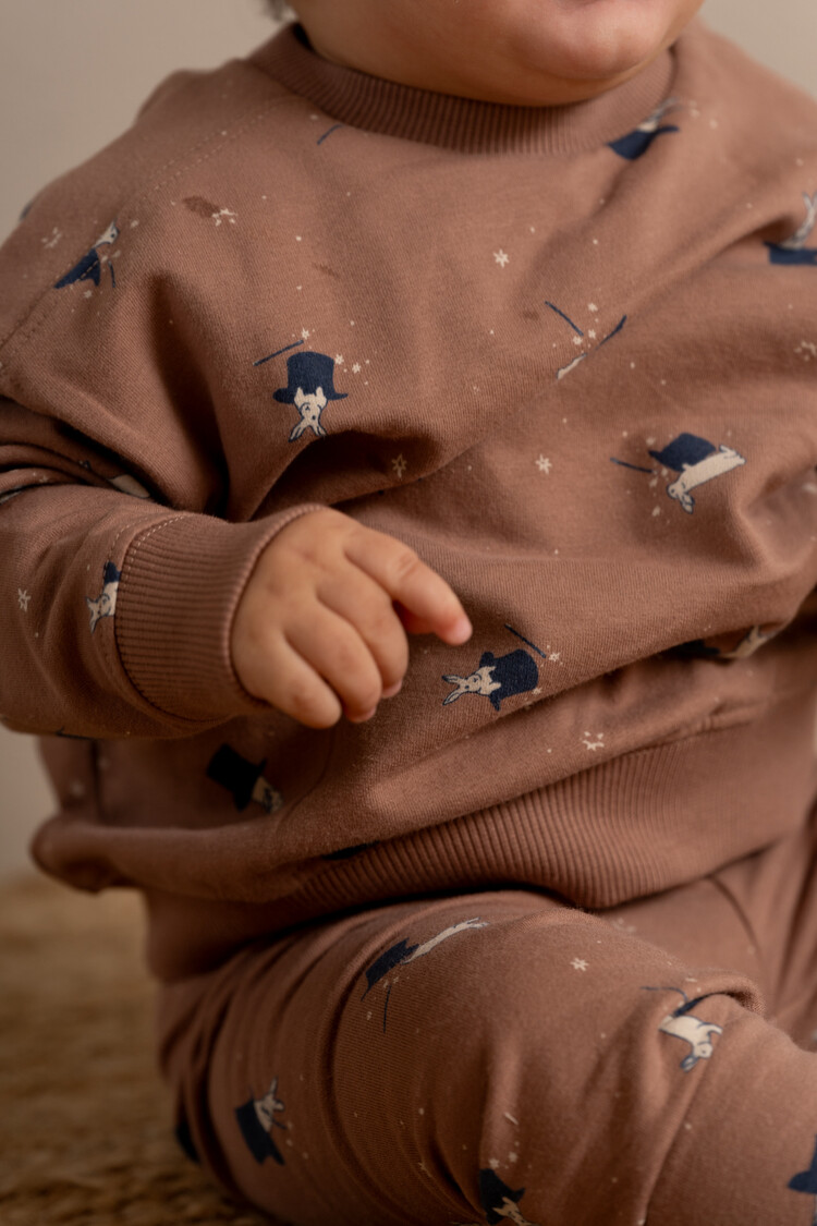 House of Jamie House of Jamie | Sweater baby boys magic bunnies