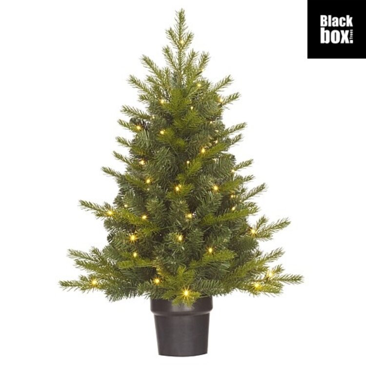 Stijl28 | Kerstboom groen 316LED 90x66cm