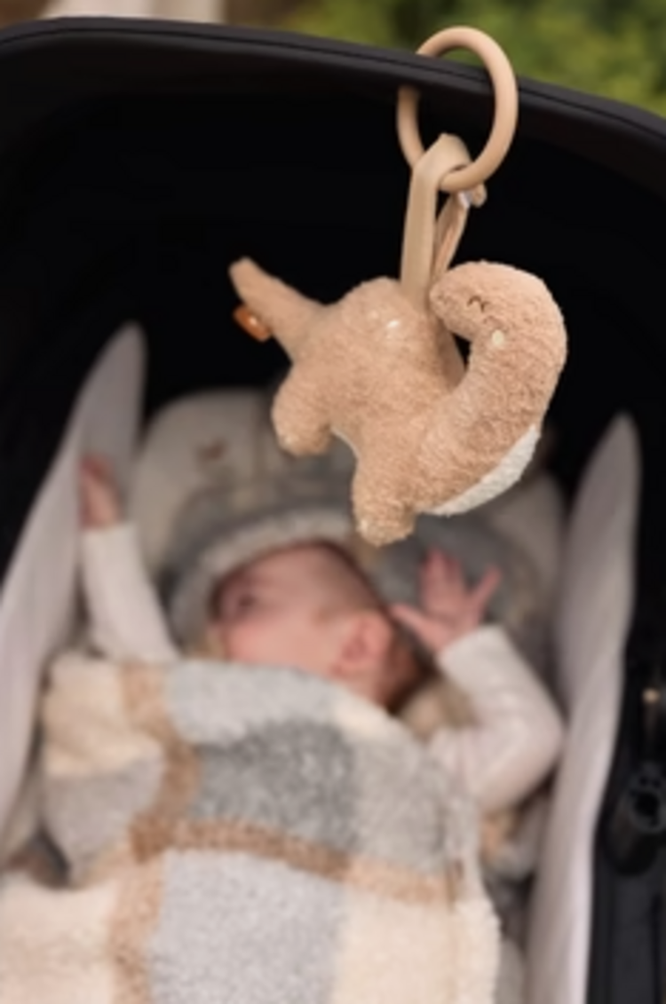 Jollein Jollein | Wagenhanger roarsome