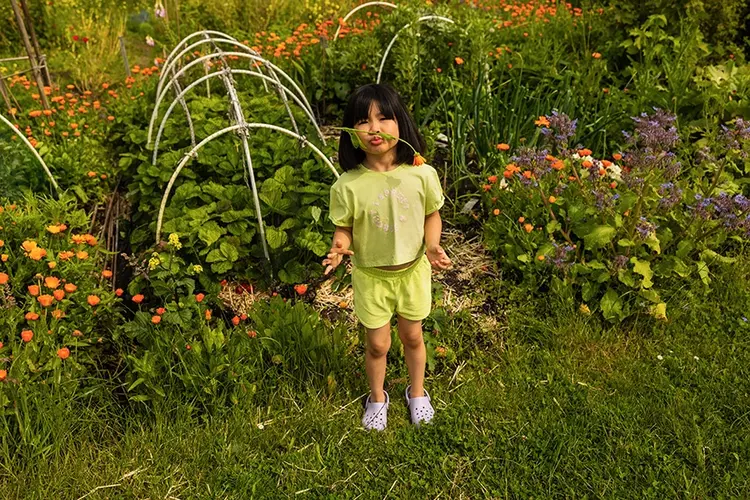 Sproet&Sprout Sproet&Sprout | Top cropped sproet citrus