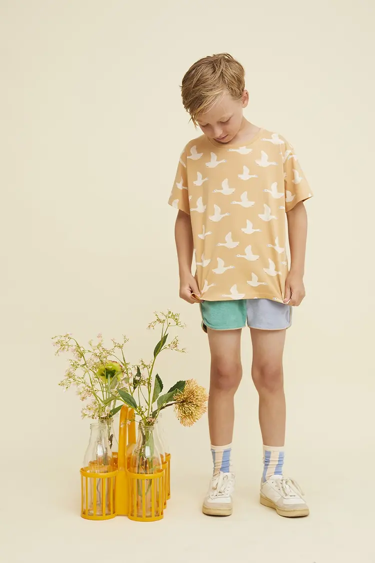 Sproet&Sprout Sproet&Sprout | Sokken stripes breezy blue