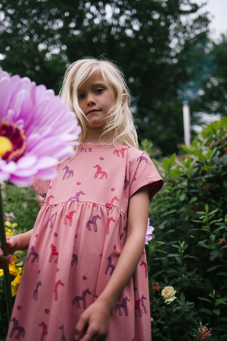 Daily Brat Daily Brat | Jurk stardust horse old rose